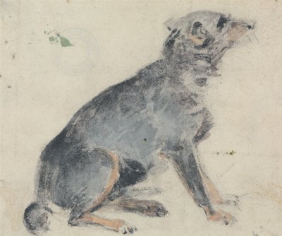 犬の研究 作： David Cox